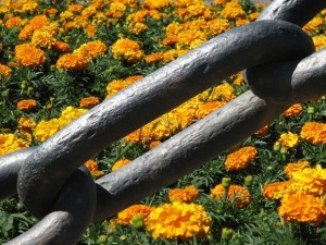 chain - transitional words and phrases