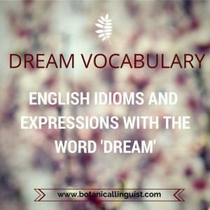 Text: Idioms and expressions with the word 'dream'