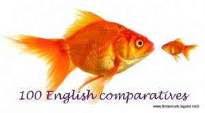 Bigger fish and smaller fish. English comparatives